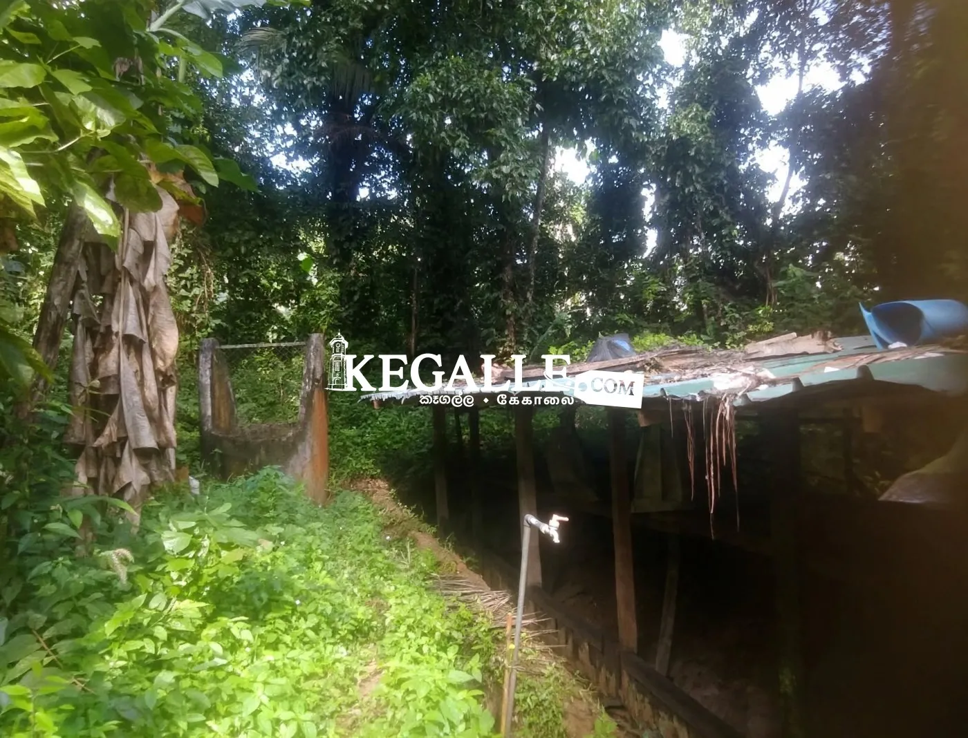 Farm for Sale - කුකුල් ෆාම් එකක සියලුම කොටස් හා භාණ්ඩ විකිණීමට