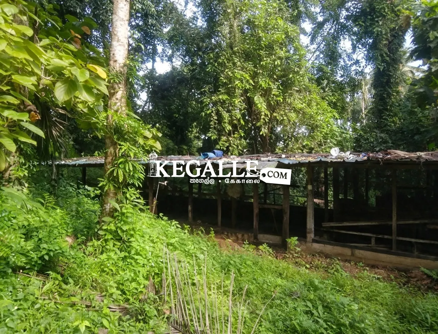Farm for Sale - කුකුල් ෆාම් එකක සියලුම කොටස් හා භාණ්ඩ විකිණීමට