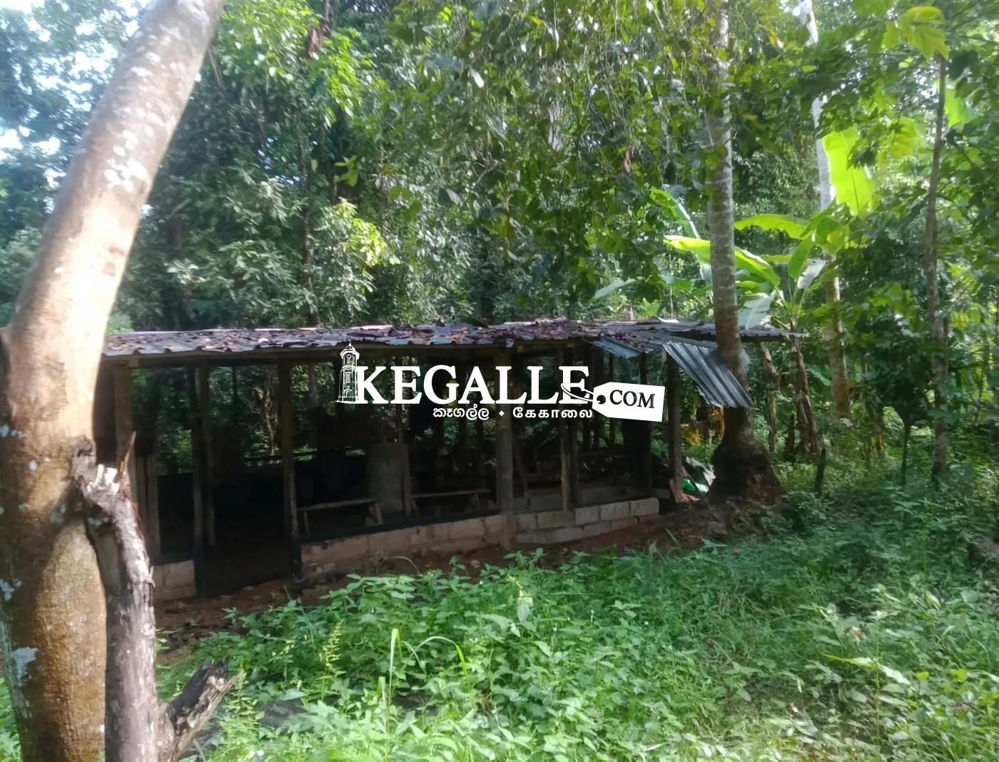 Farm for Sale - කුකුල් ෆාම් එකක සියලුම කොටස් හා භාණ්ඩ විකිණීමට