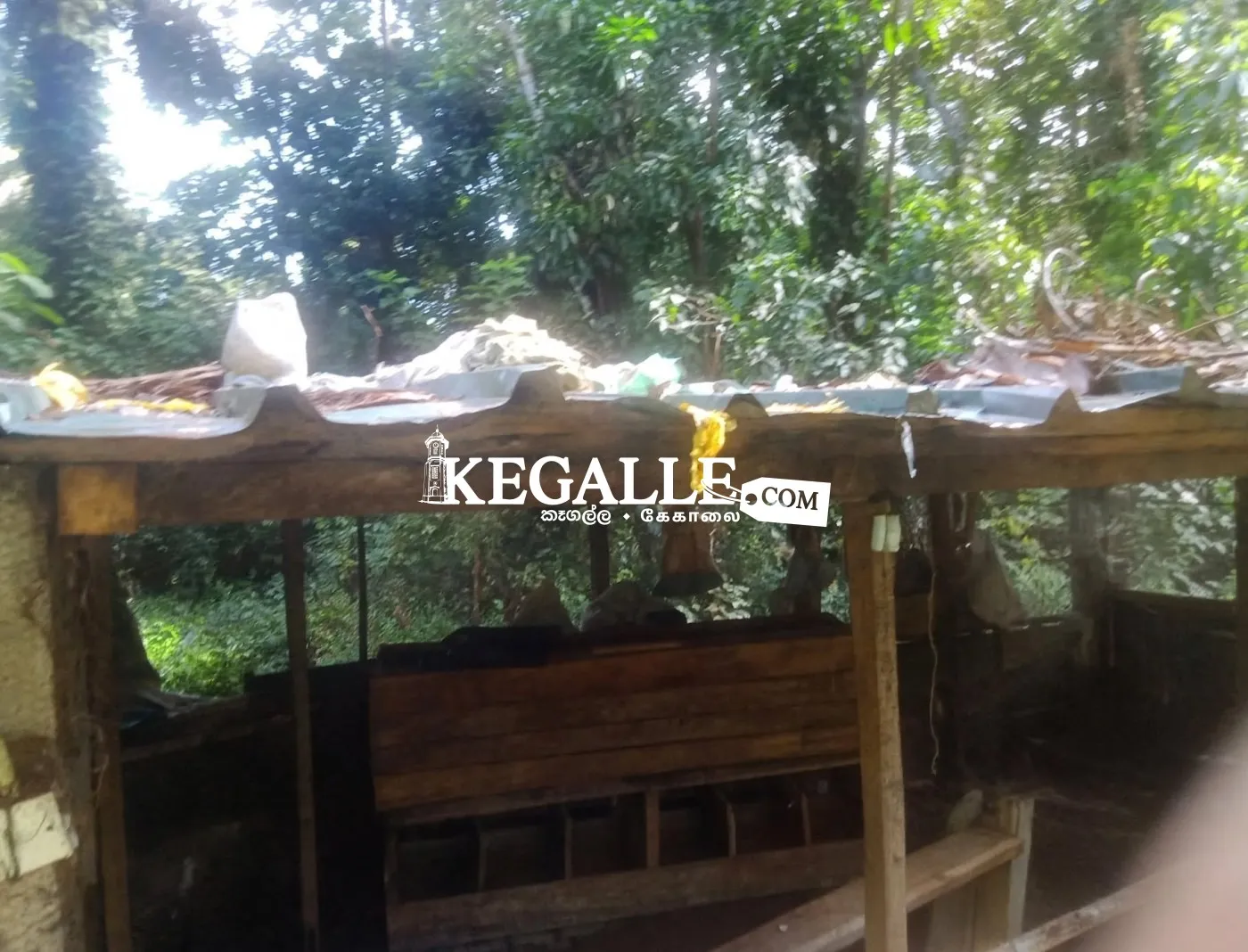 Farm for Sale - කුකුල් ෆාම් එකක සියලුම කොටස් හා භාණ්ඩ විකිණීමට